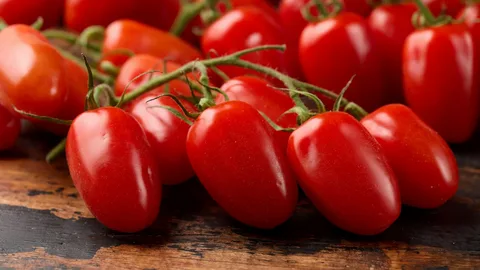 تصویر 2 از گوجه فرنگی گلخانه ای مصرف خام سالاد روزانه